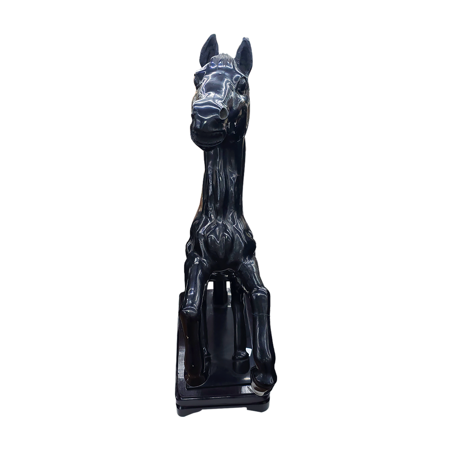 Horse Foal