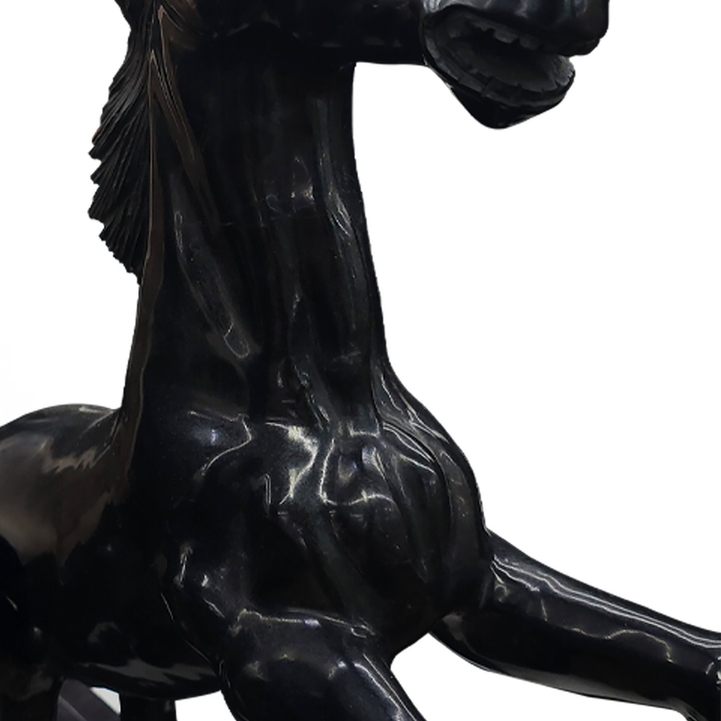 Horse Foal