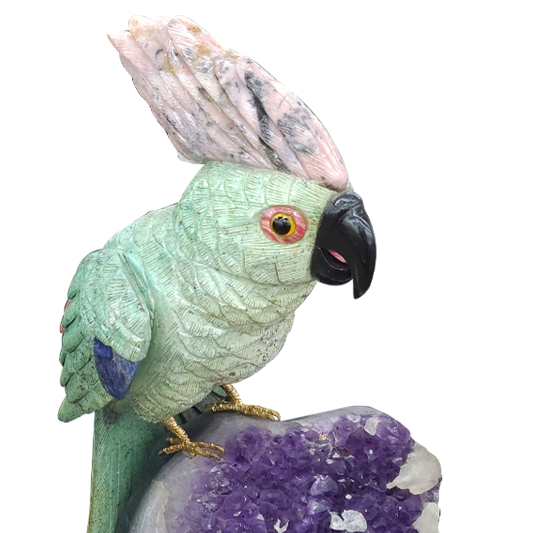 bird