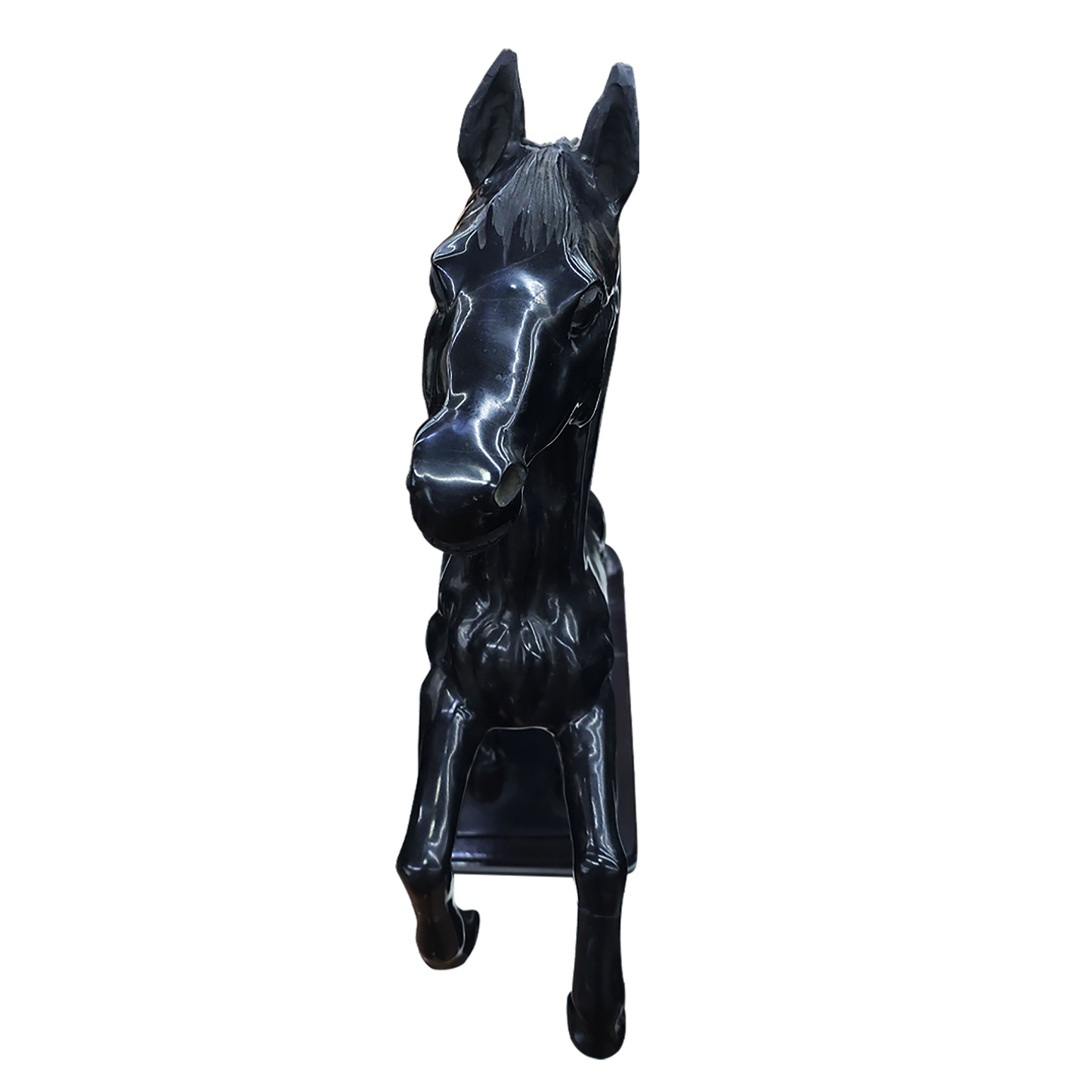 Horse Foal